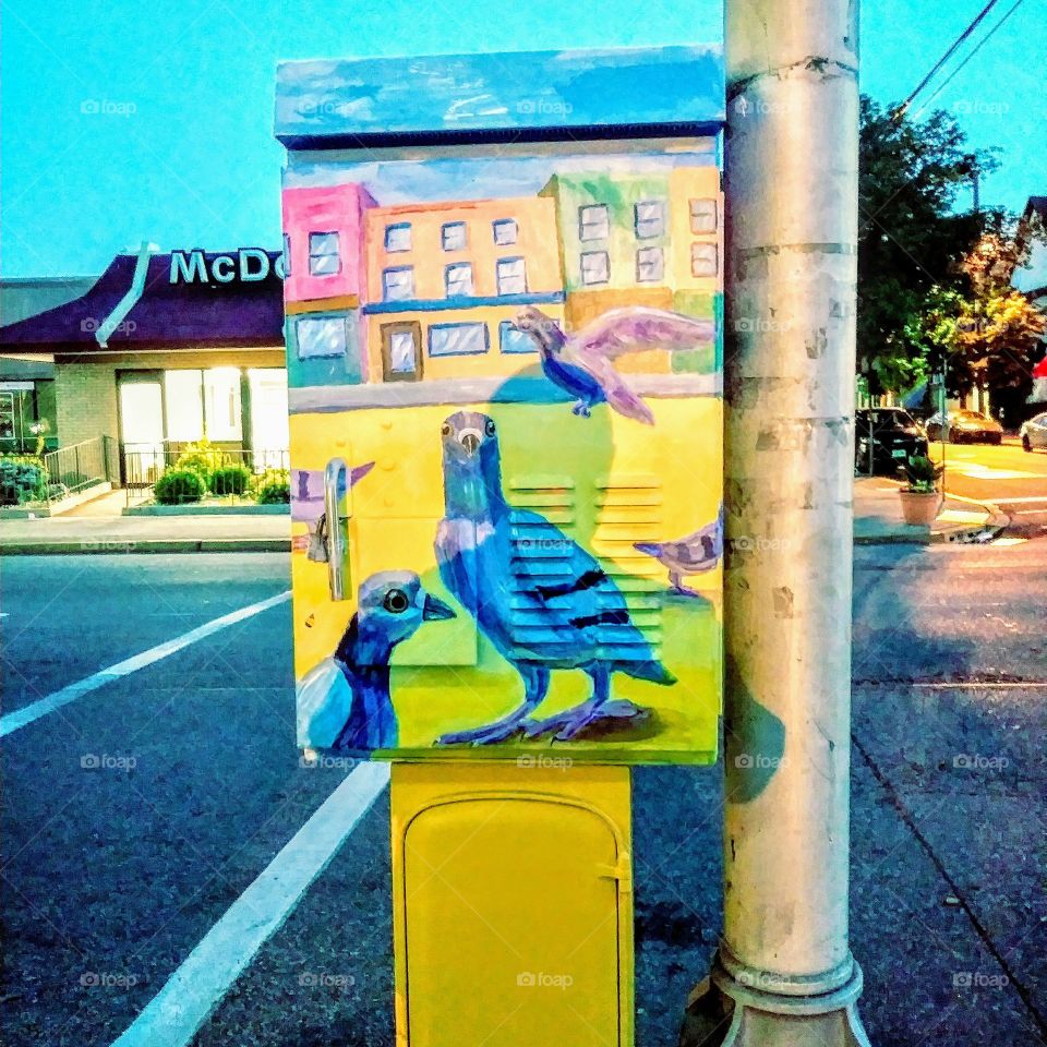 pigeon street art