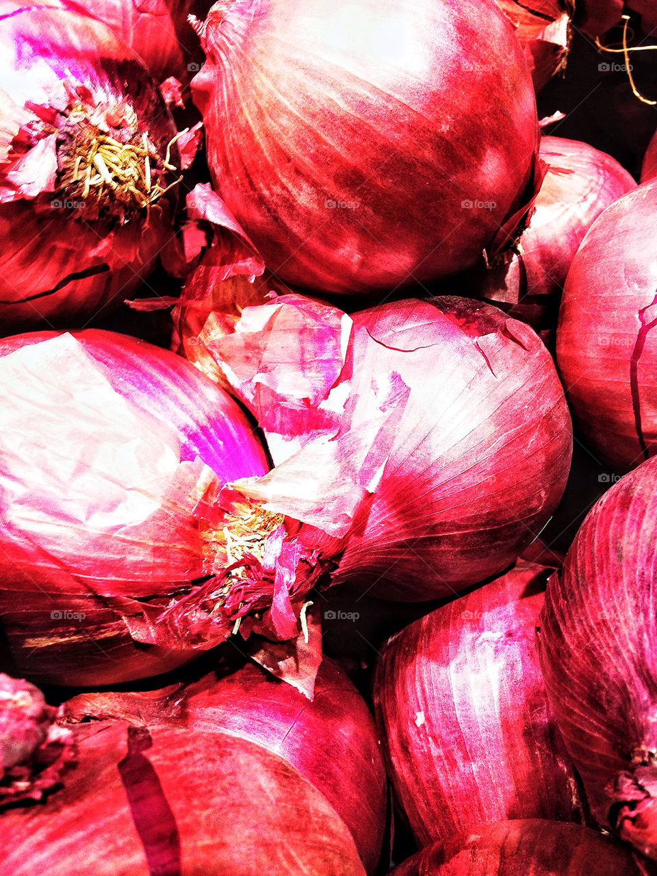 Red Onions
