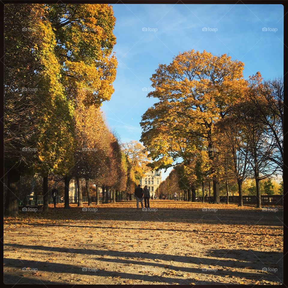 Walking through Jardin des Tuileries in Autumn, Paris
