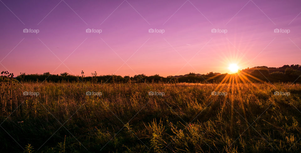 Sunset in the field