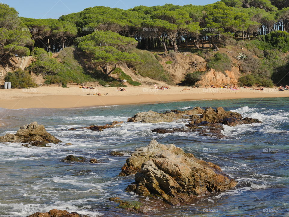 rocas playa arboles