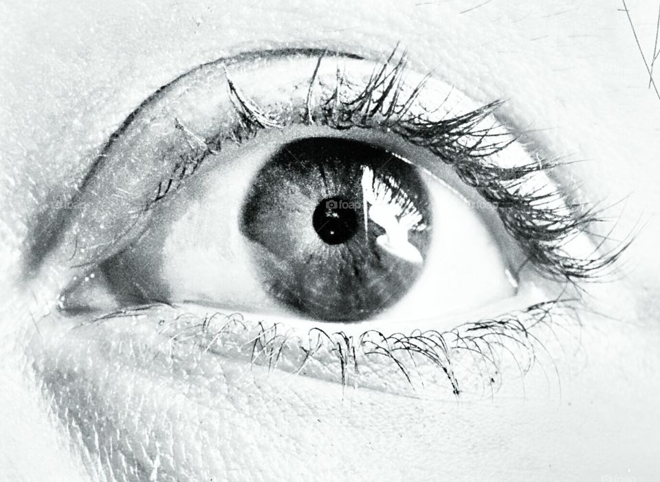 close up of an eye. eye