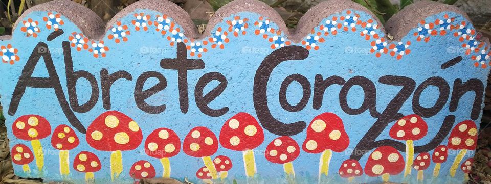 Geometry Series: Circle