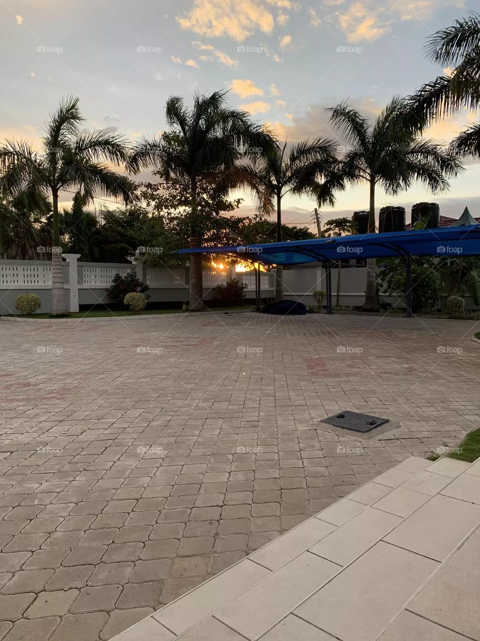 Backyard snap