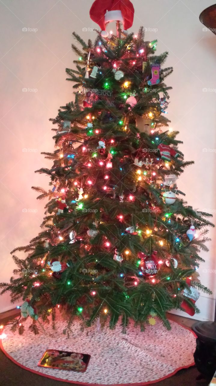 Christmas, Winter, Christmas Tree, Pine, Celebration