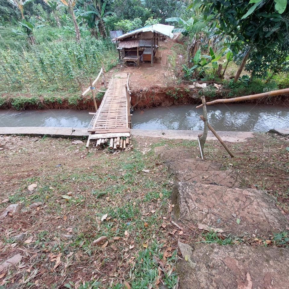 bamboo bridge to the house in the middle of the garden