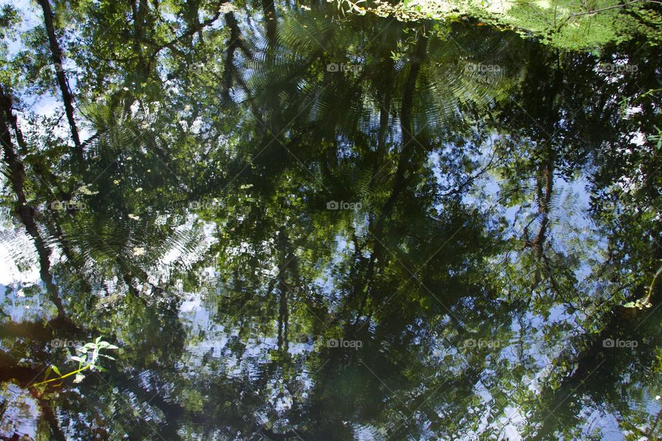 Water Reflections and Ripples