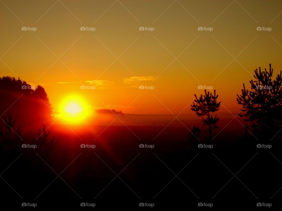 Sunset, Dawn, Sun, Evening, Silhouette