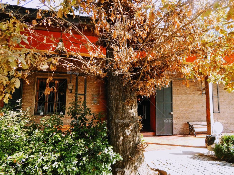 A relaxing autumn afternoon at the Vineyard.