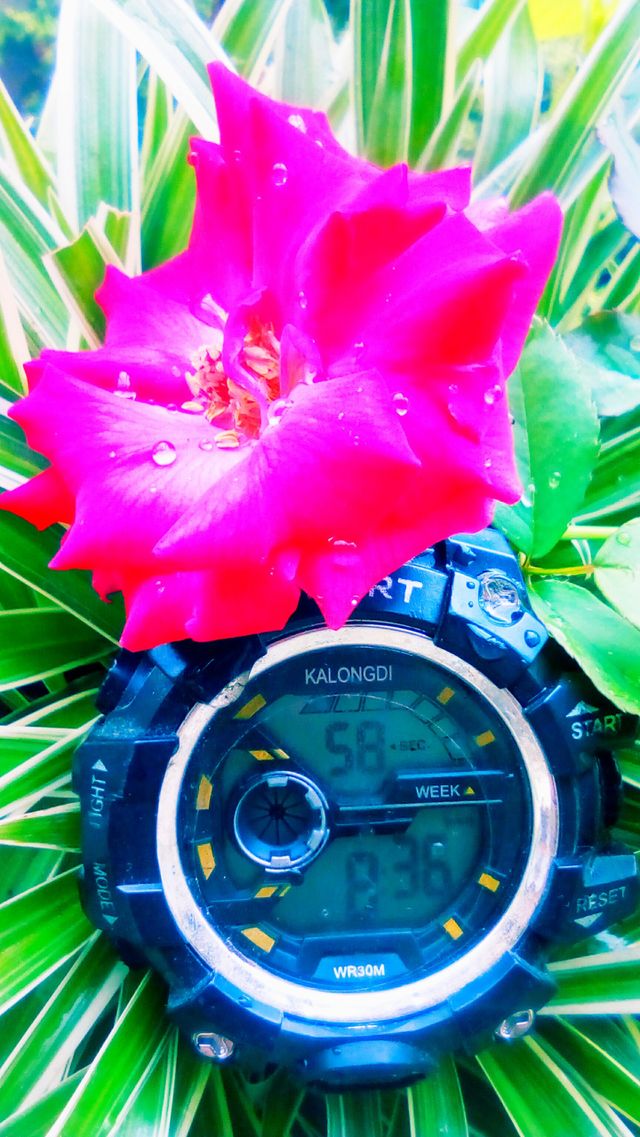 Time and moment