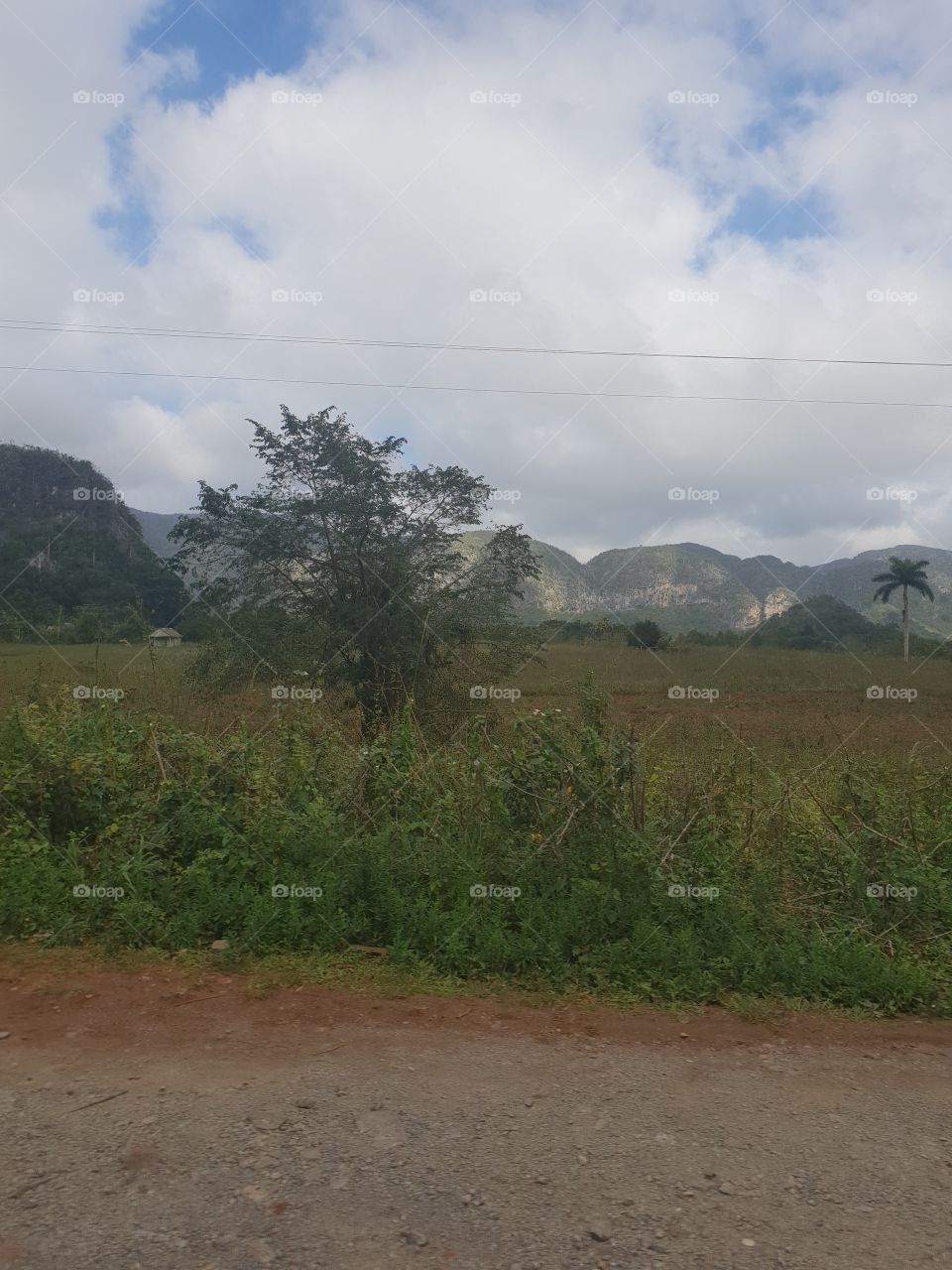 Viñales