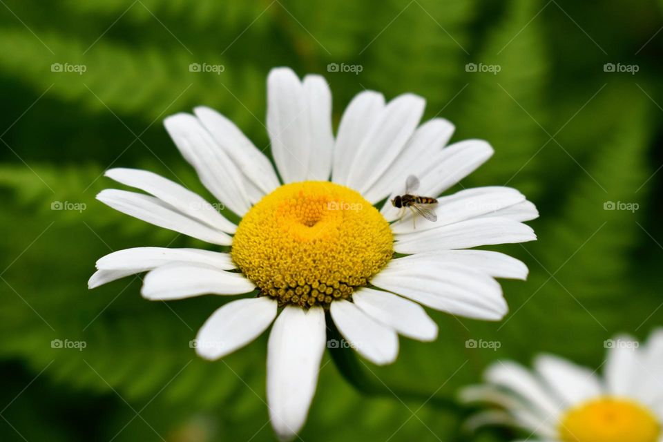 Countryside vacation photos