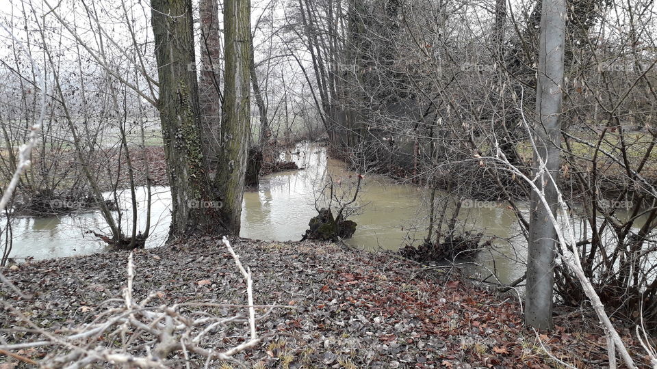 winter grey day in the country