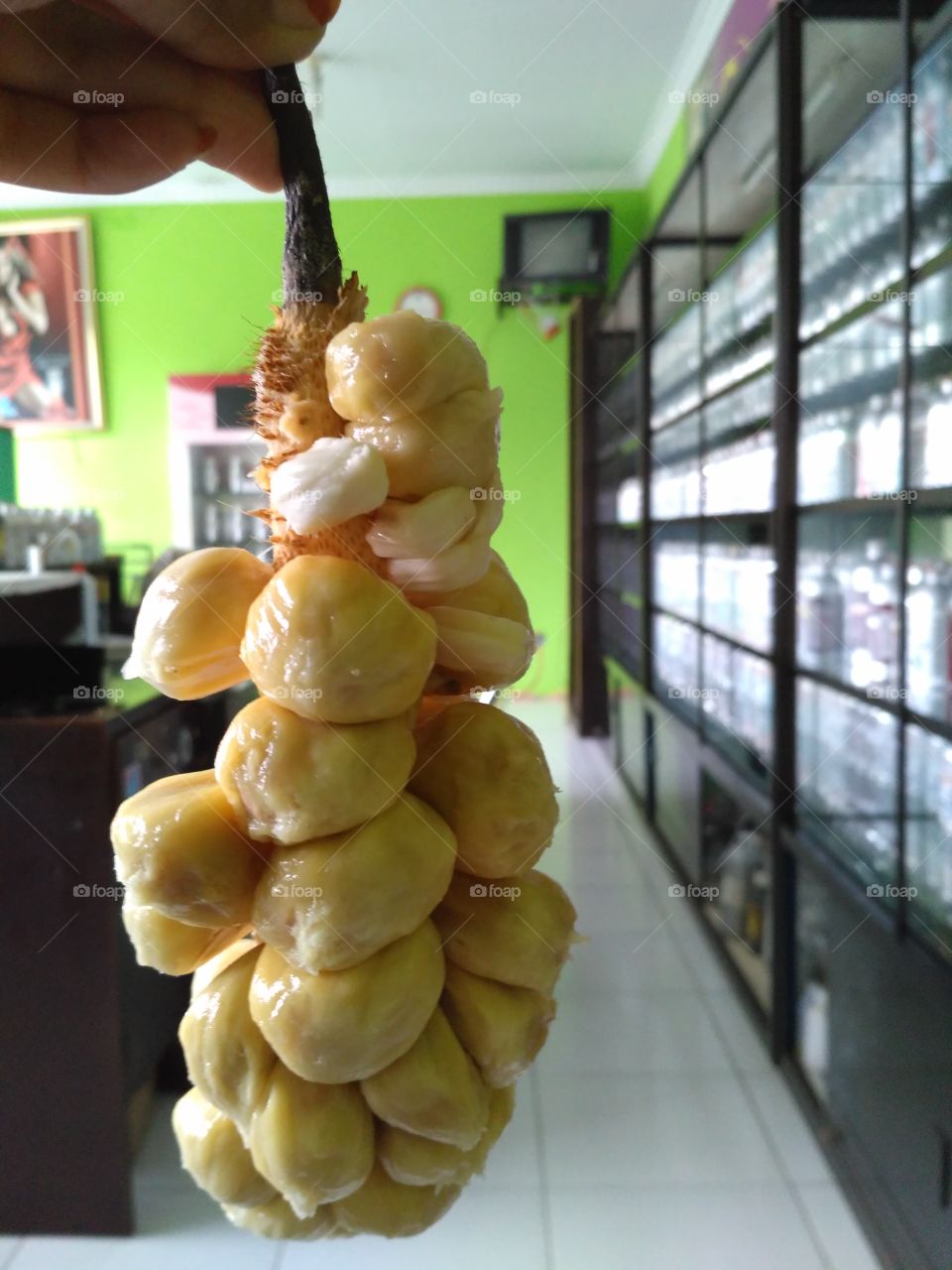 Cempedak fruit taught that something that is good, does not mean there is no effort we are to fix it and develop it.