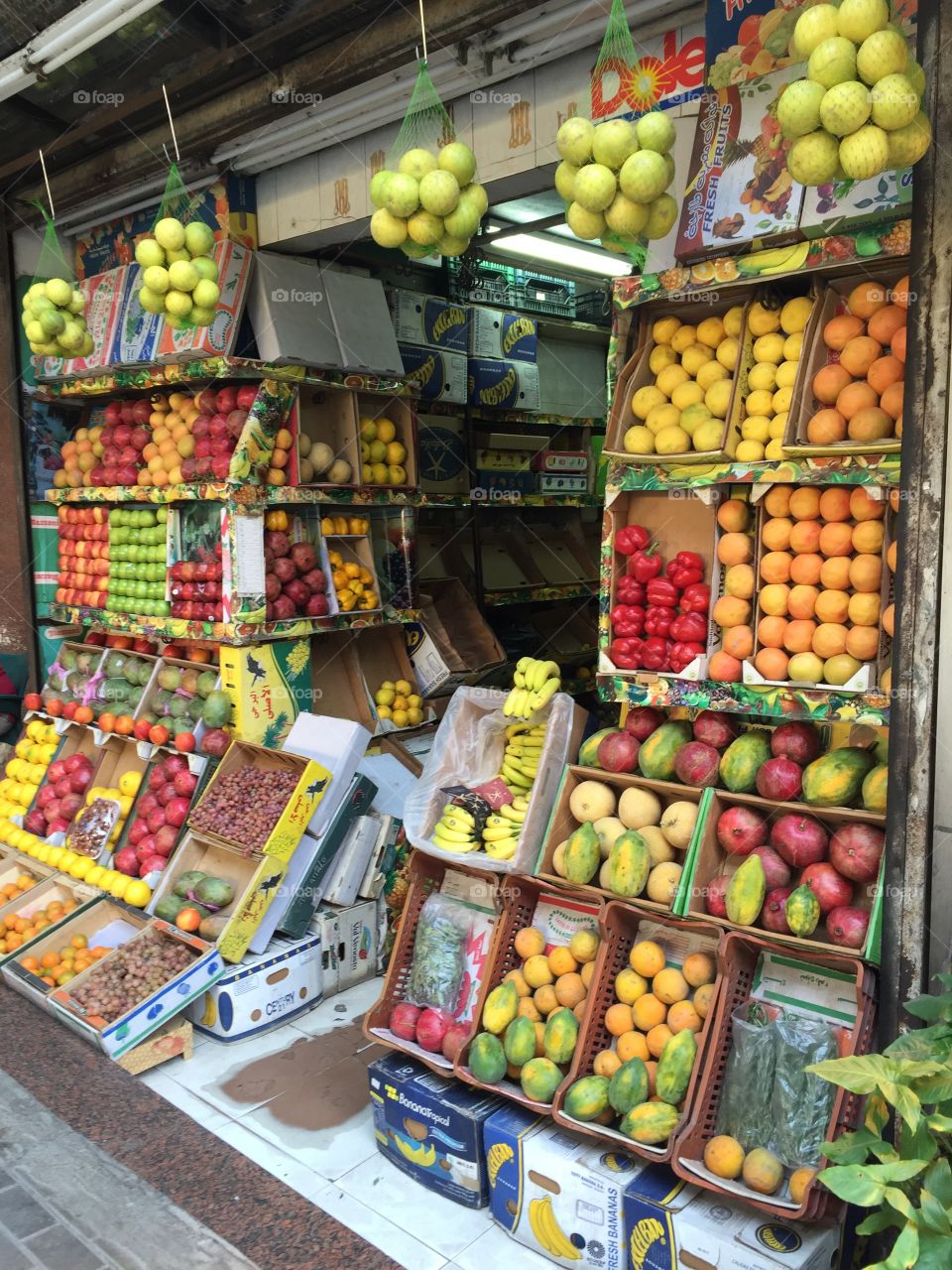 Green grocer Egypt zamelak Cairo 