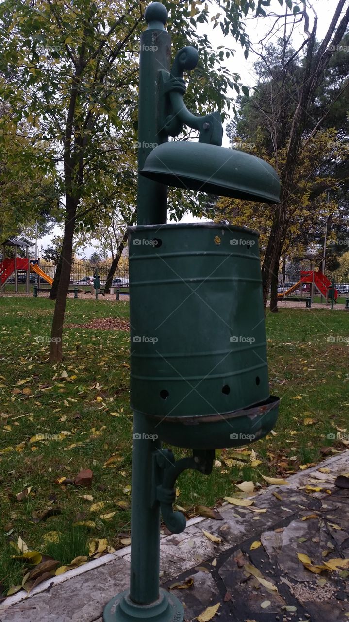 No Person, Outdoors, Environment, Garden, Container