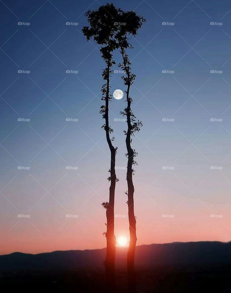 The moon and sun togther makes it beautiful