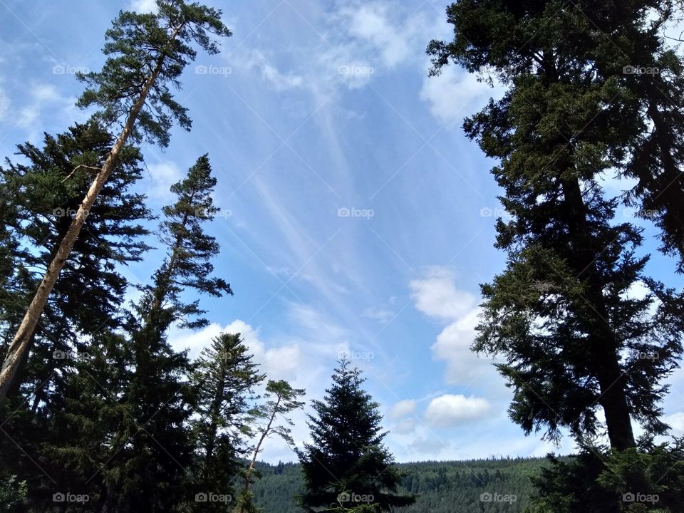 Bad Wildbad Schwarzwald