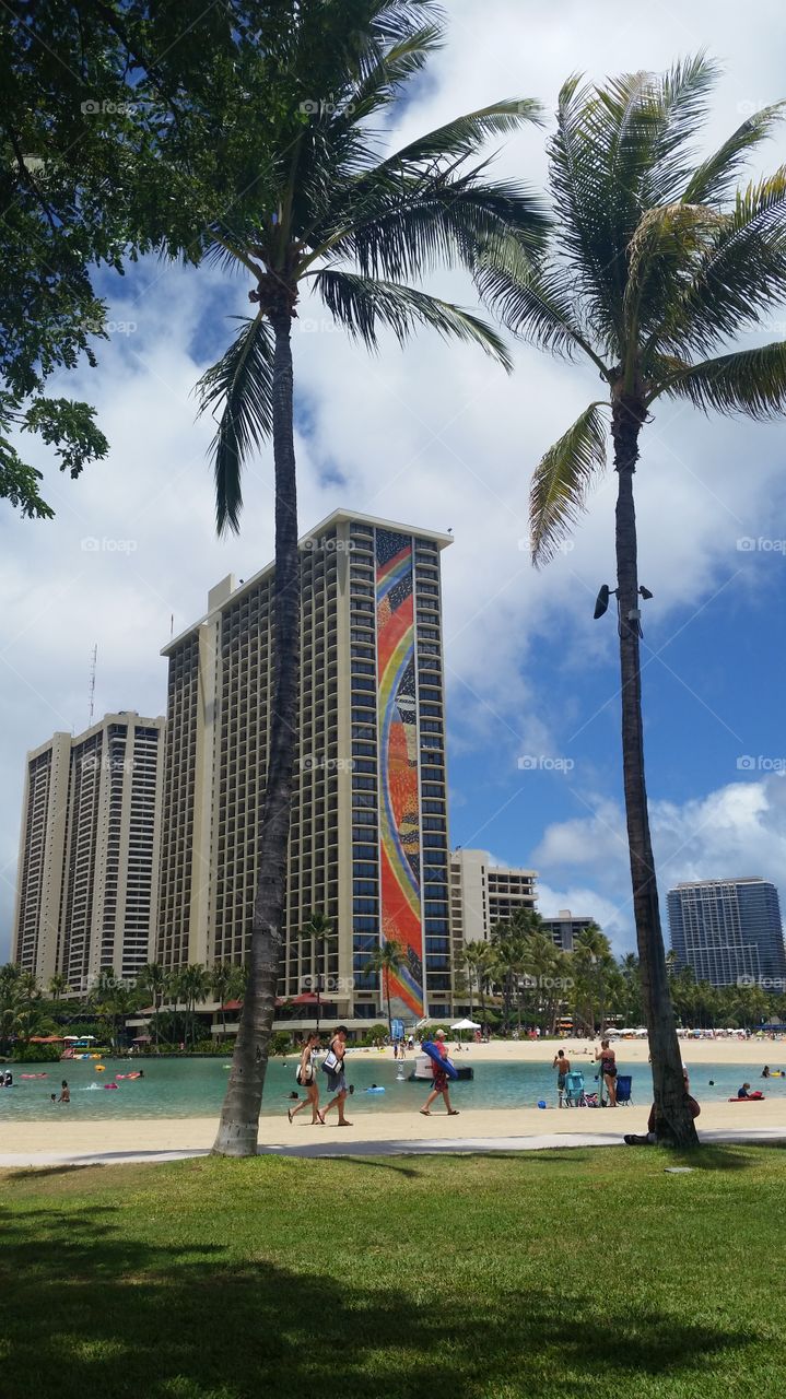 Hawaiian Rainbow. Years and Years Hilton