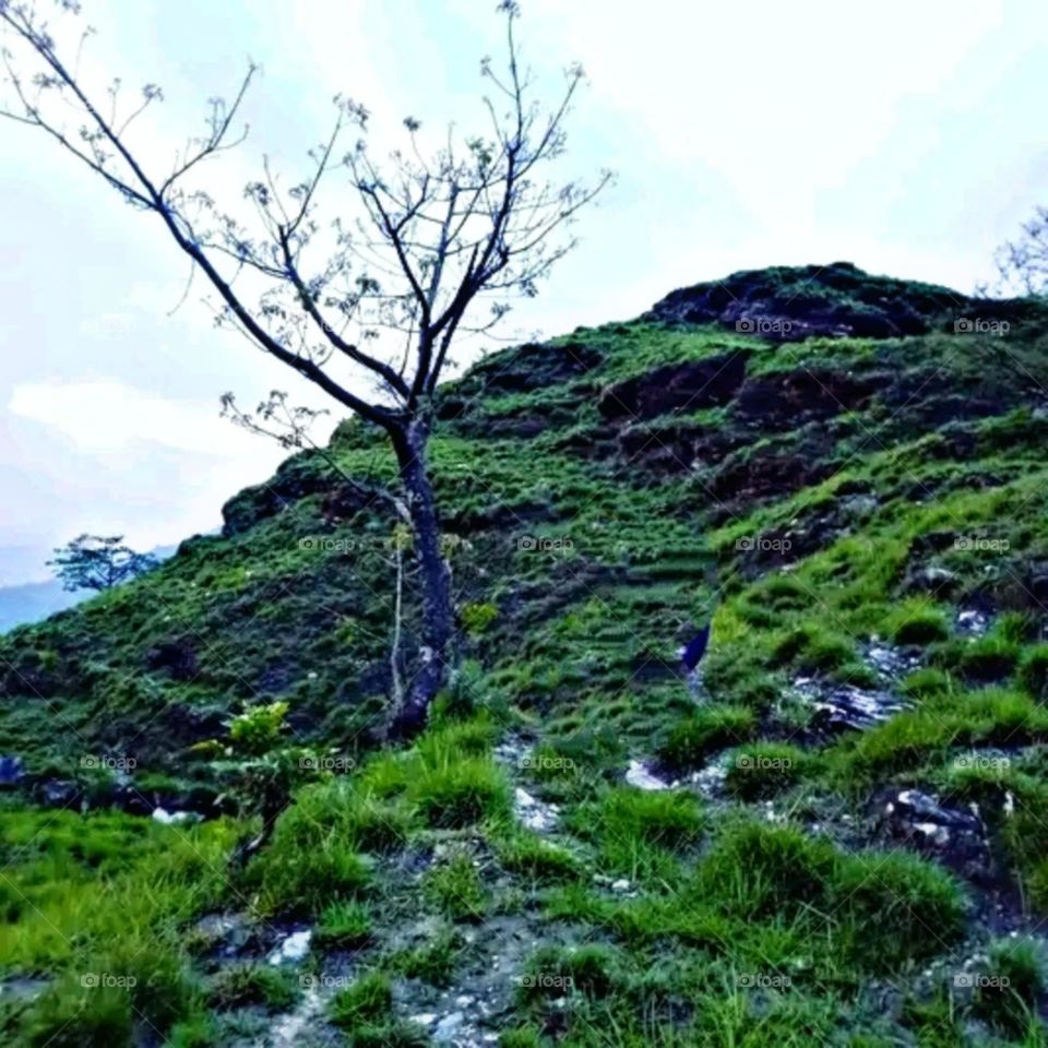 A most beautiful and attractive view of the mountains.