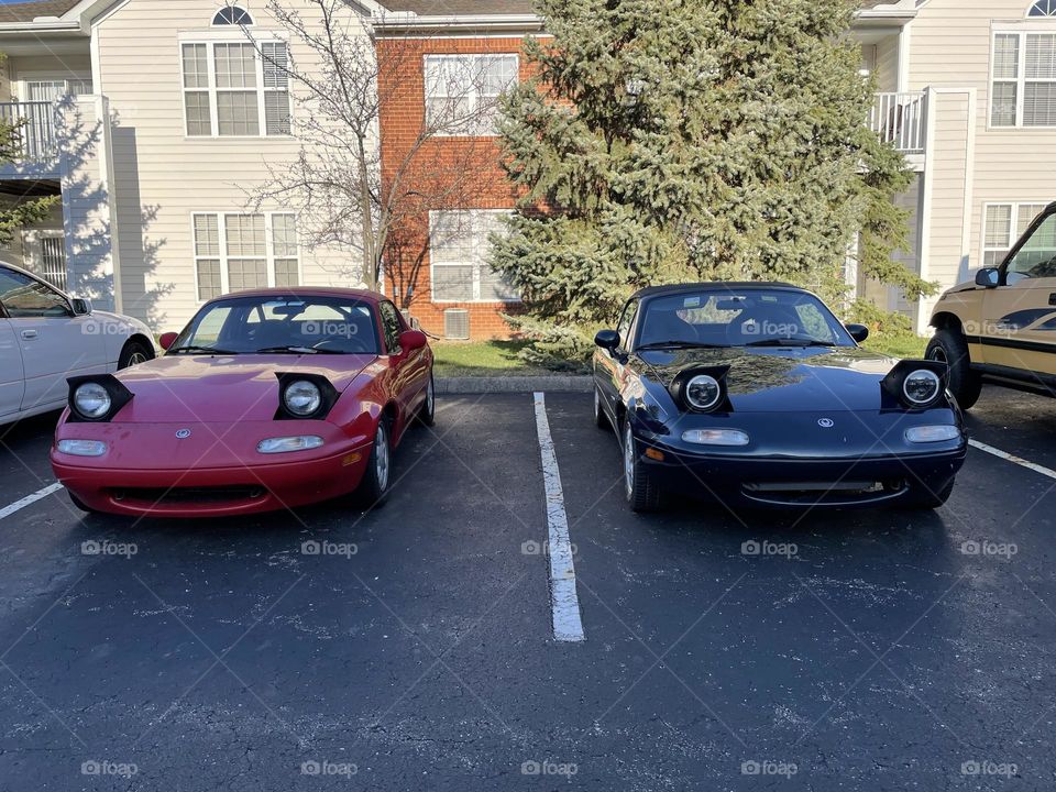 Happy Cars 