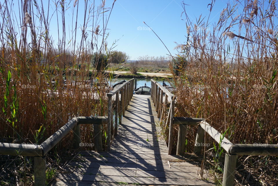 Bridge#wood#nature#lake