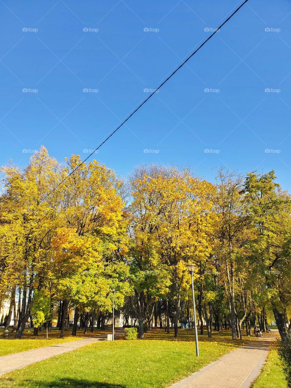 The fading of summer is often beautiful to watch with leaves often changing colors and air taking on a crispness. Taking a walk in these times are often reflective. This image captures this transition.