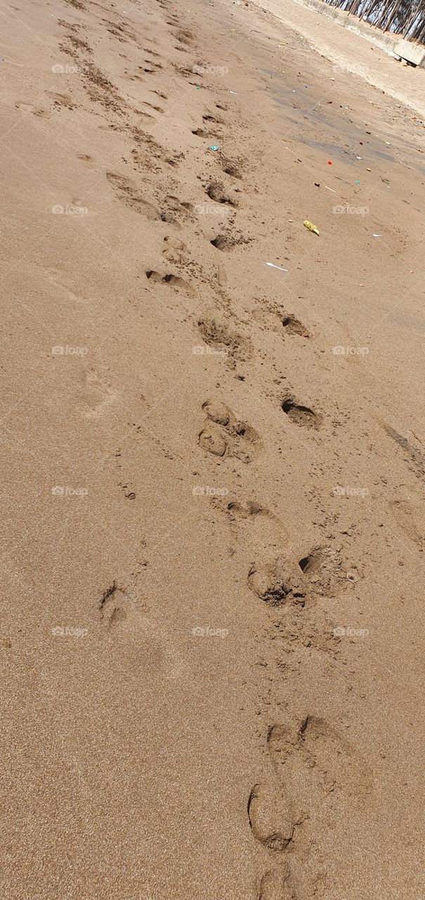 jampore beach, daman, gujarat, india