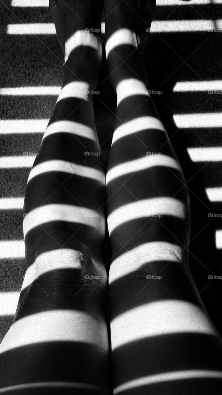Abstract If people were Zebras