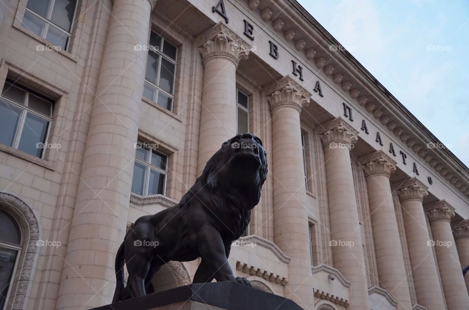 Sofia, Bulgaria, Lion front of the Court House