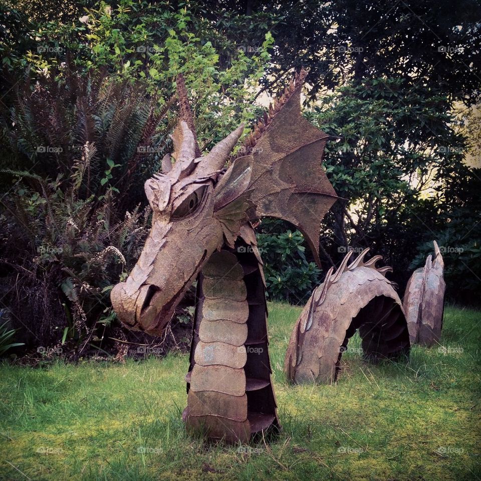 Dragon in the park