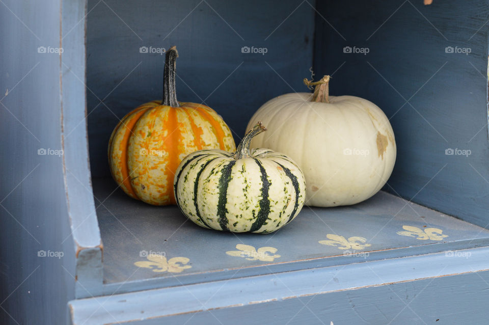 Three white and multicolored pumpkins on a rustic vintage shelf 