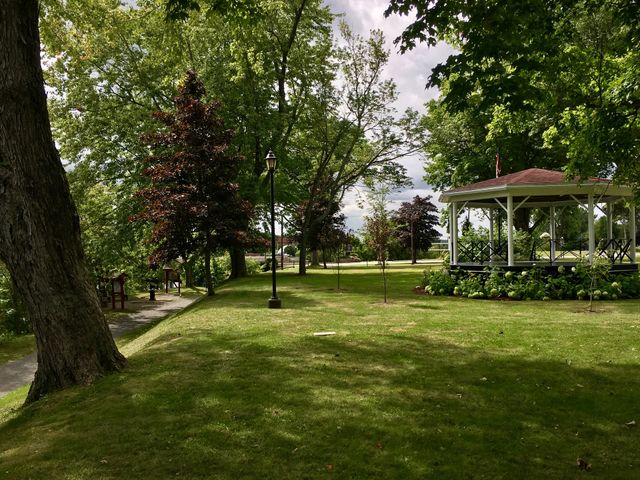Summer in the park