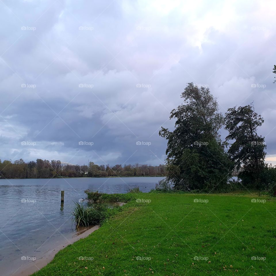 Small part of the Brielsemeer.