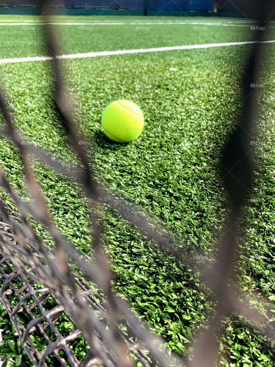 Tennis ball on grass court