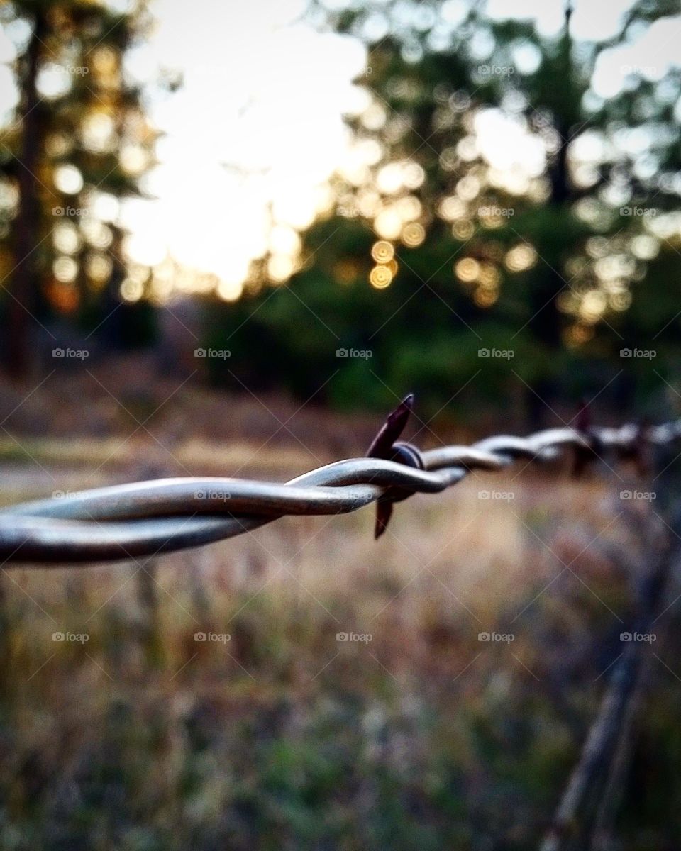 barbed fence at sunset