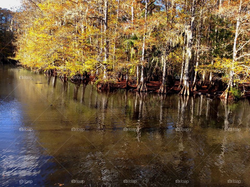 The beautiful colors of the Everglades Wildlife Preserve.