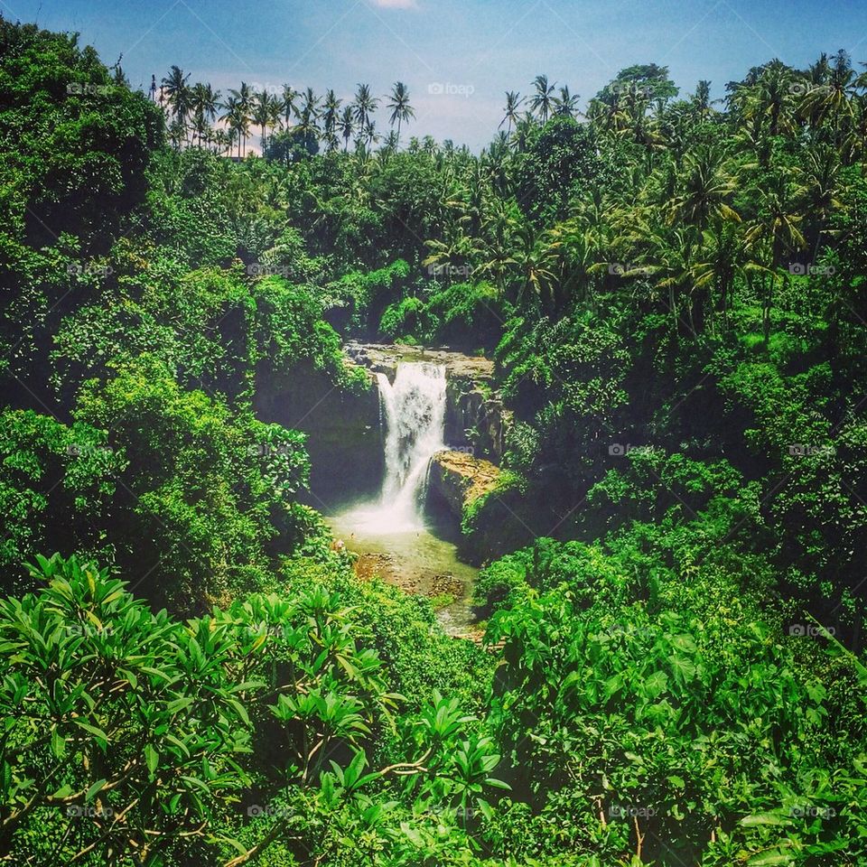 Paradise in Bali