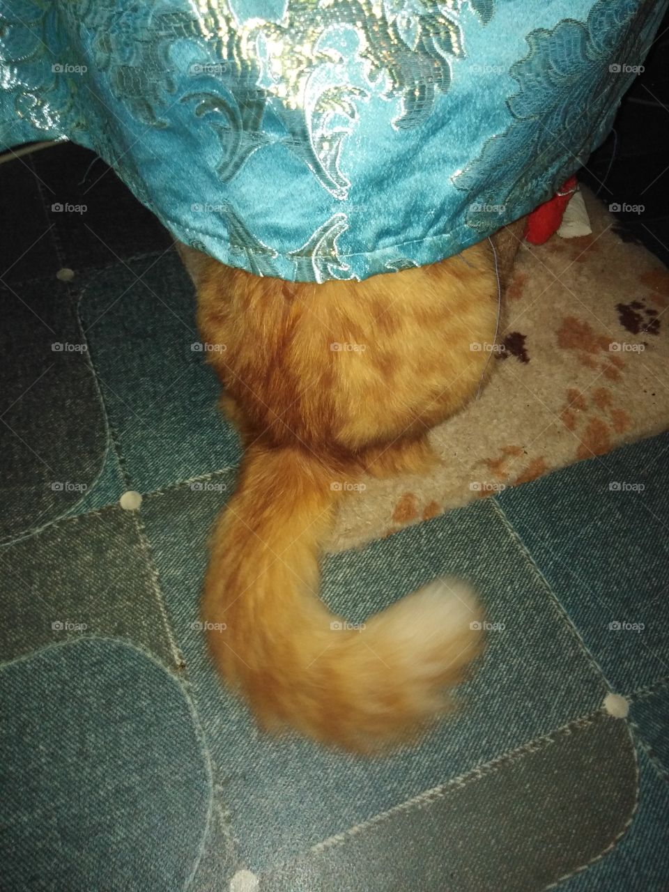 Играем в прятки