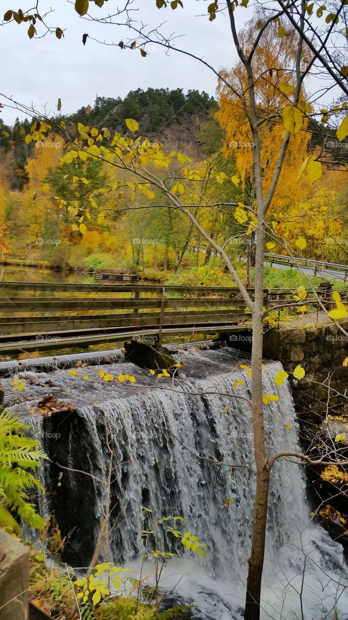 Photos taken in a little place called Berger, Norway. Autumn day.
