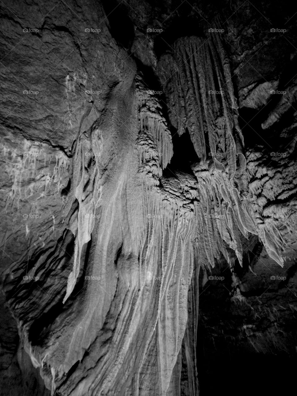 Cave Trabuc in Mialet in France