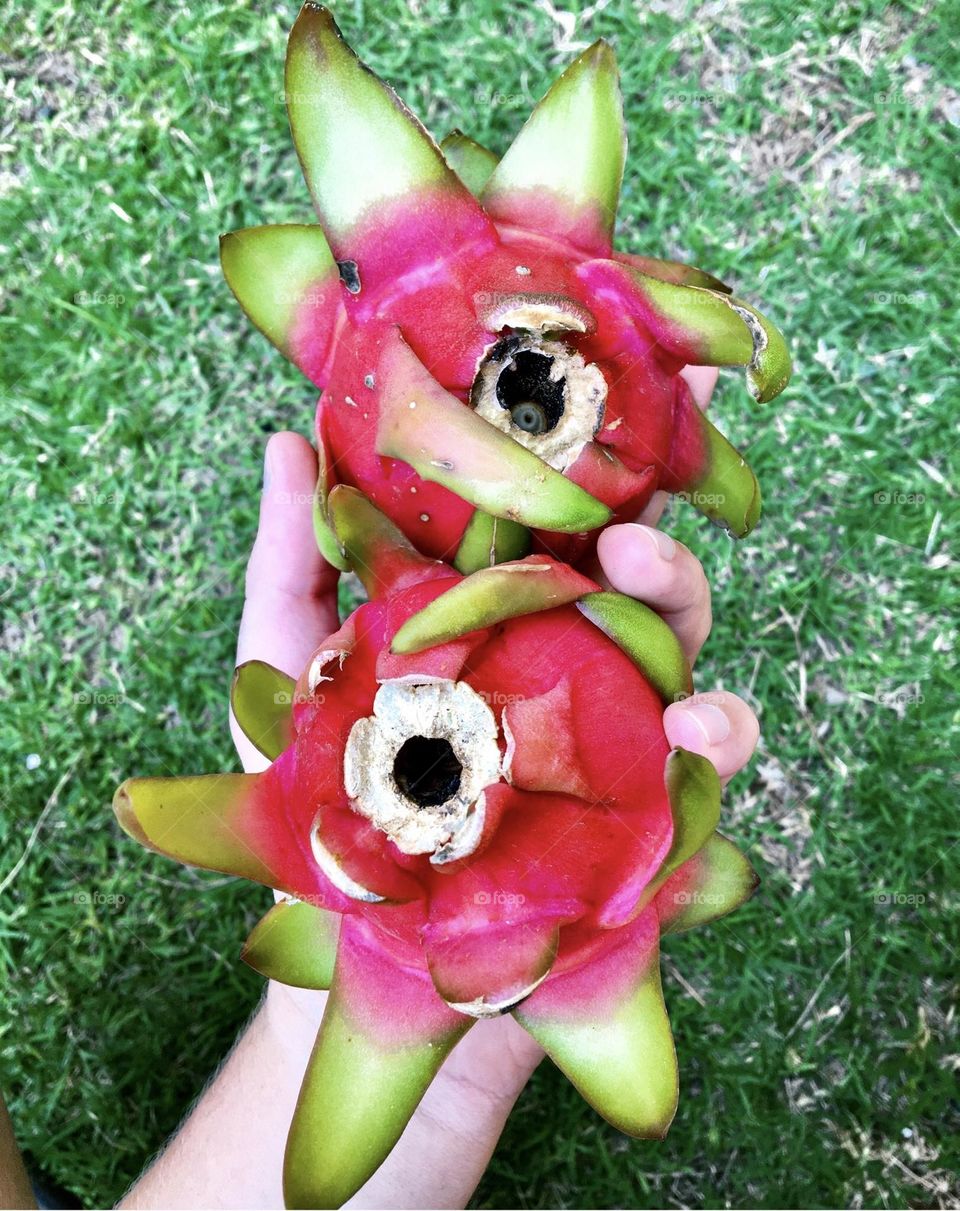 Pitaya ❤️