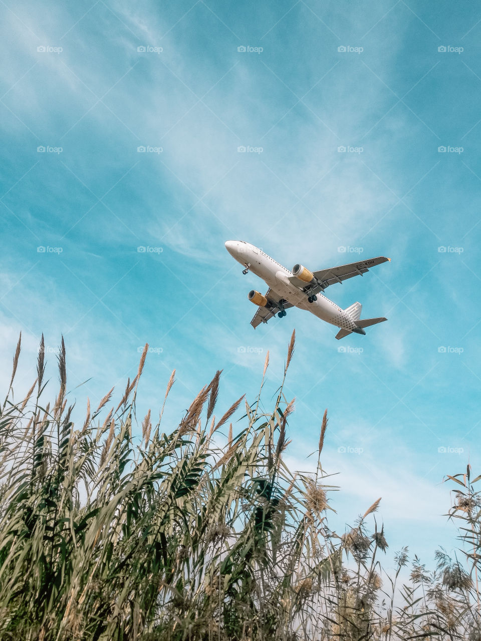 Air plane flying in nature 