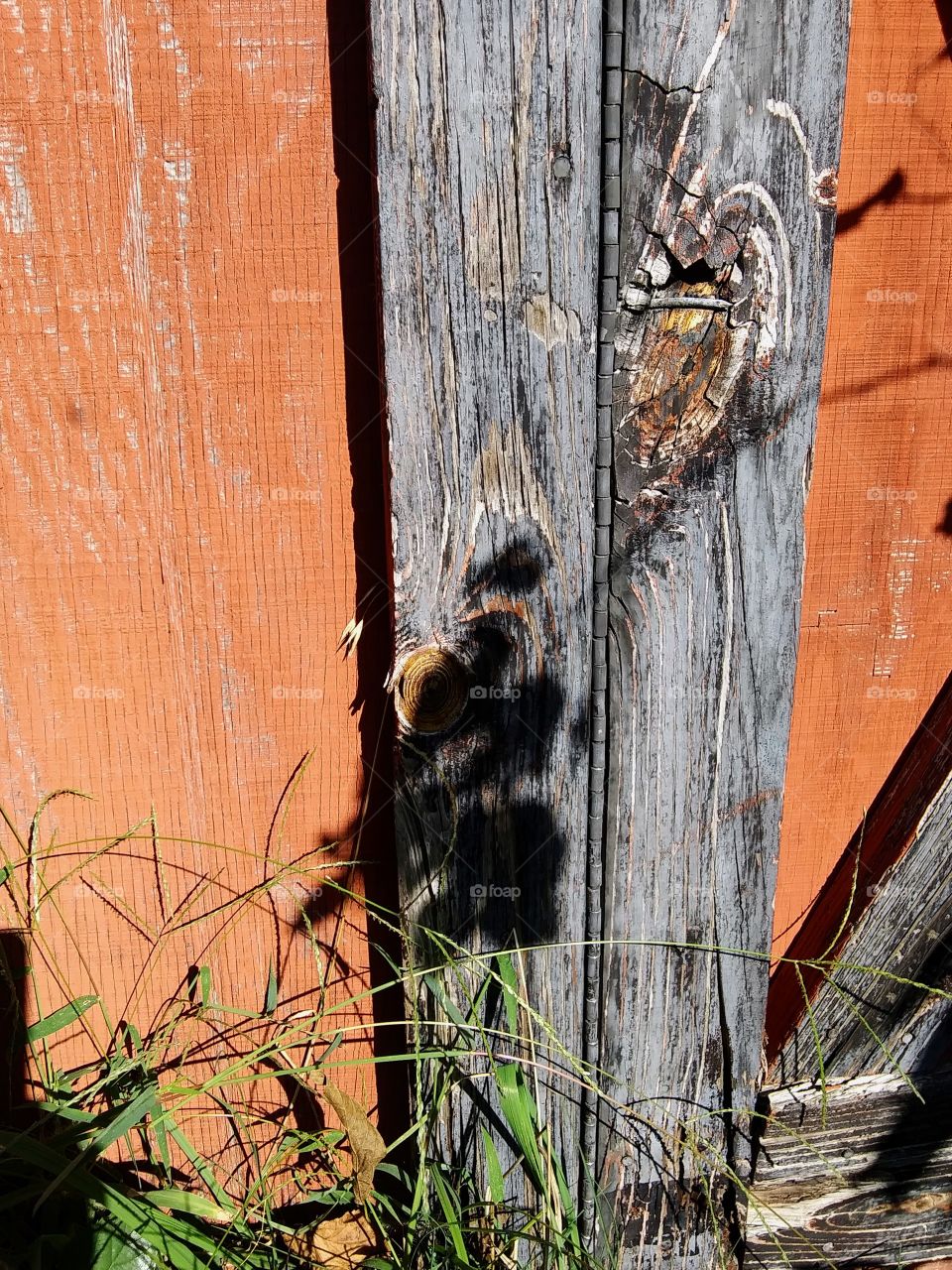 weathered wood and shadows