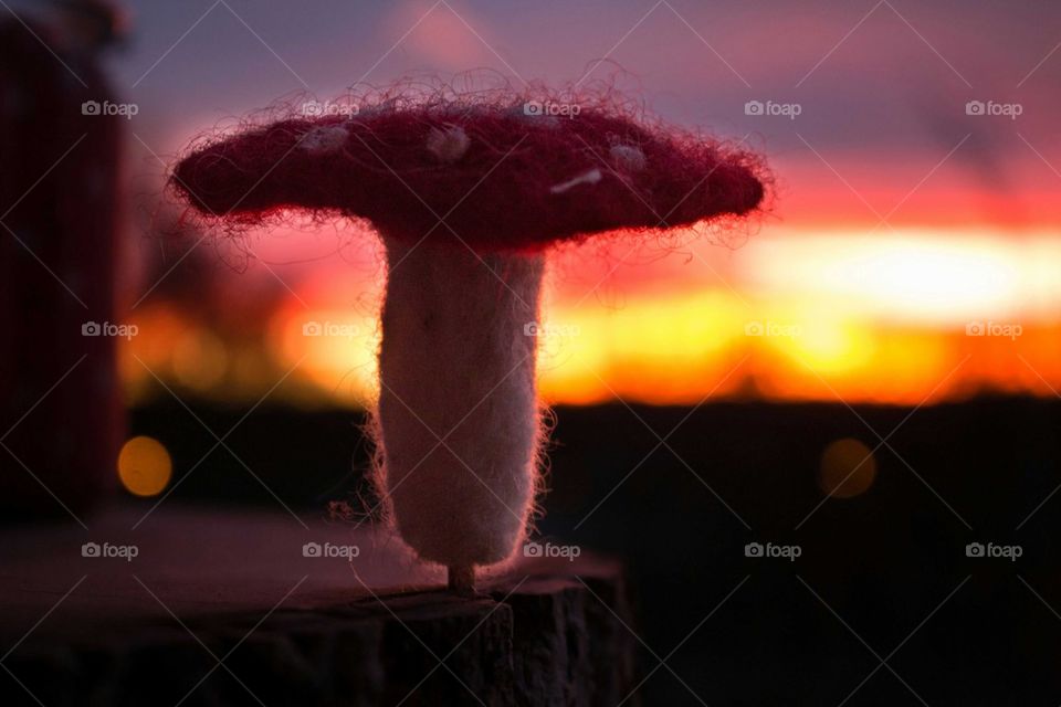 Fly agaric sunset