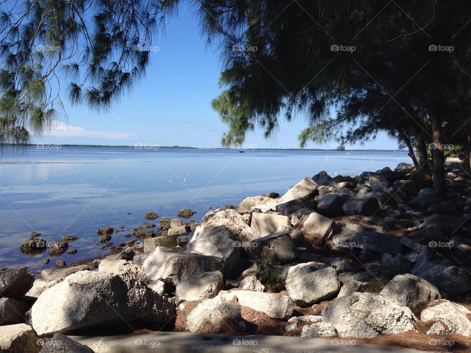 Scenics view of landscape and lake