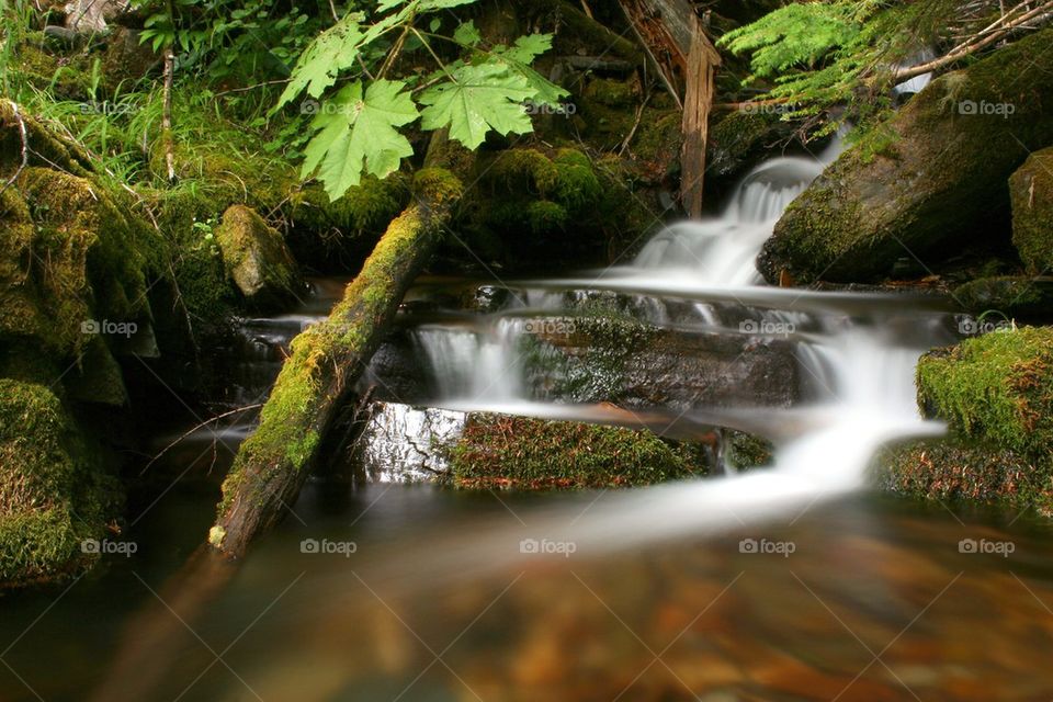 Lush Creek waterfall