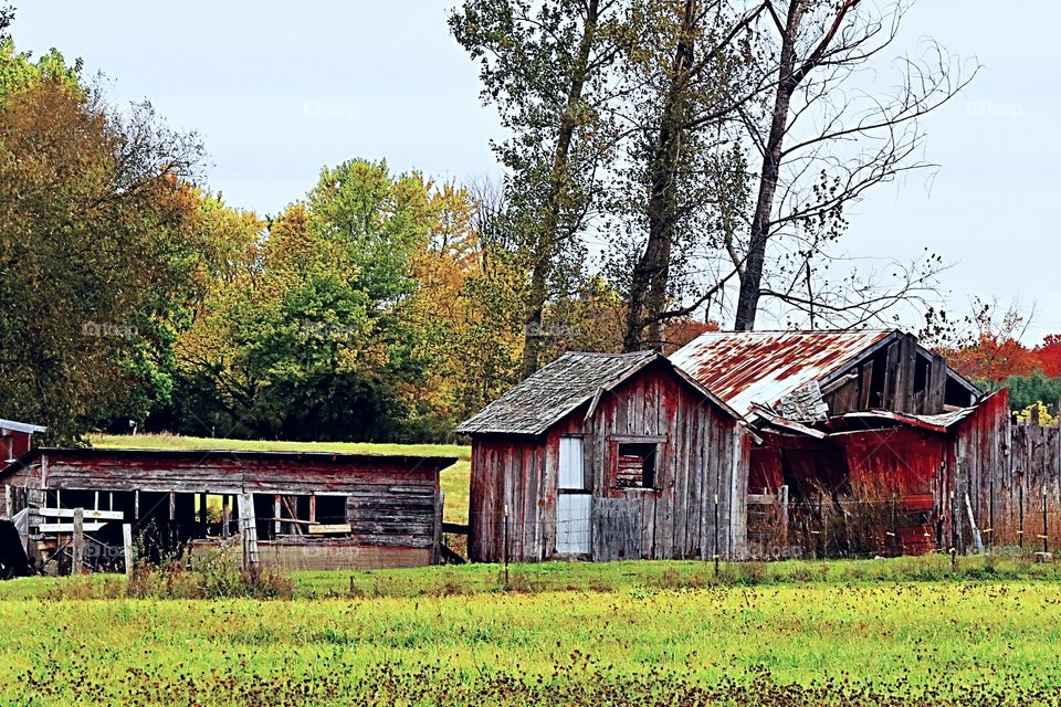 Old Farm Sheds in Fall