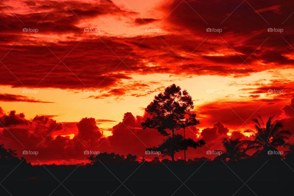 The reddish, yellowish sky is a beautiful background.