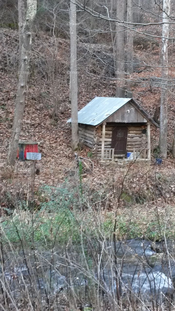 hut in the woods